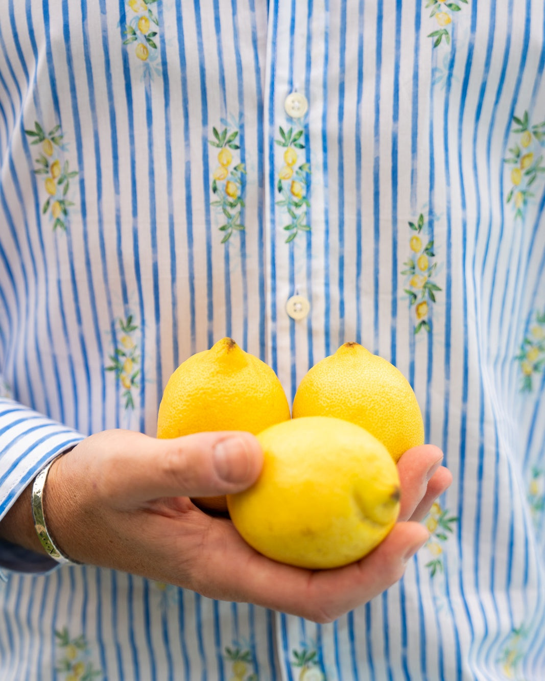 Chemise décontractée avec imprimé citron (art. 2530-C)