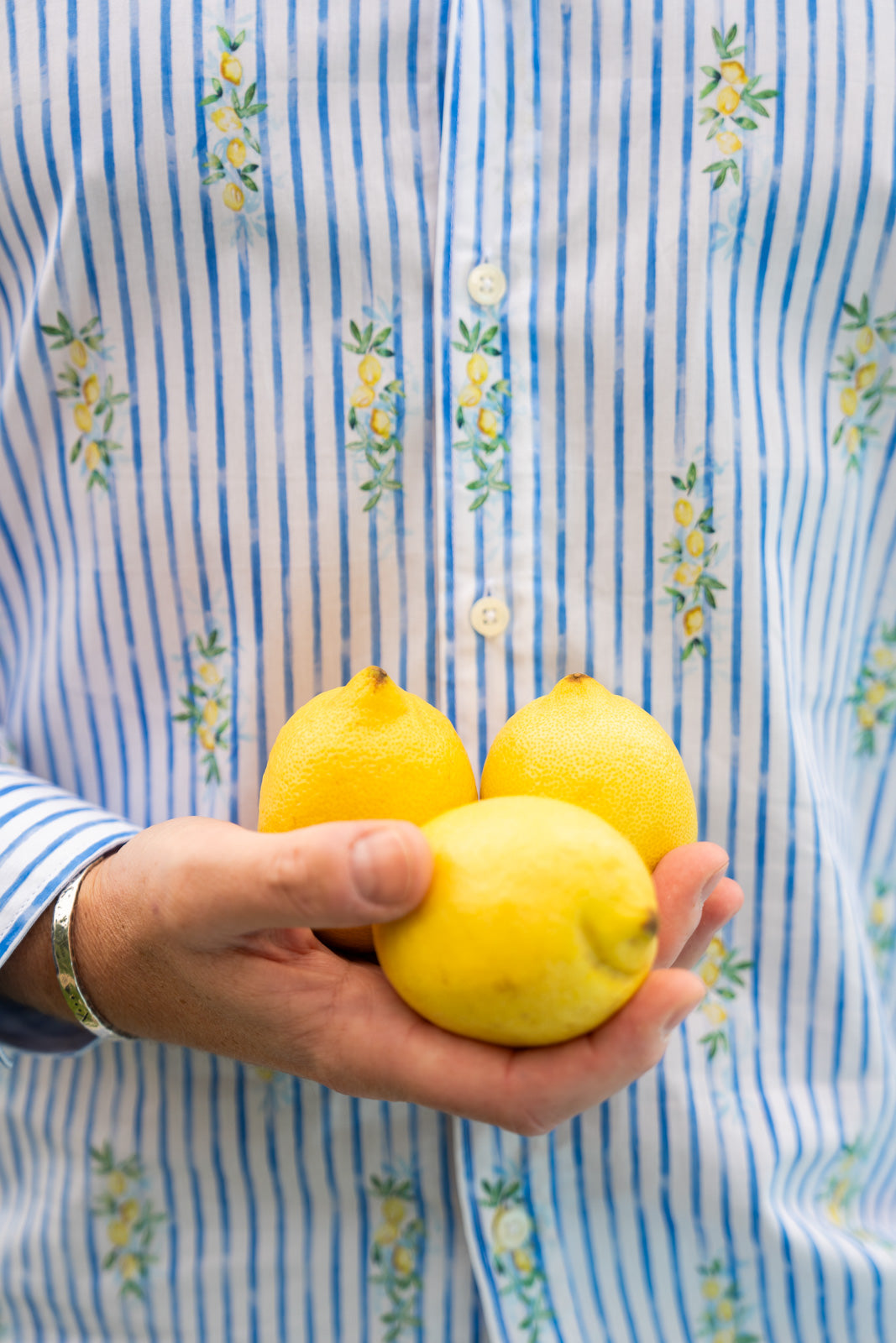 Chemise décontractée avec imprimé citron (art. 2530-C)