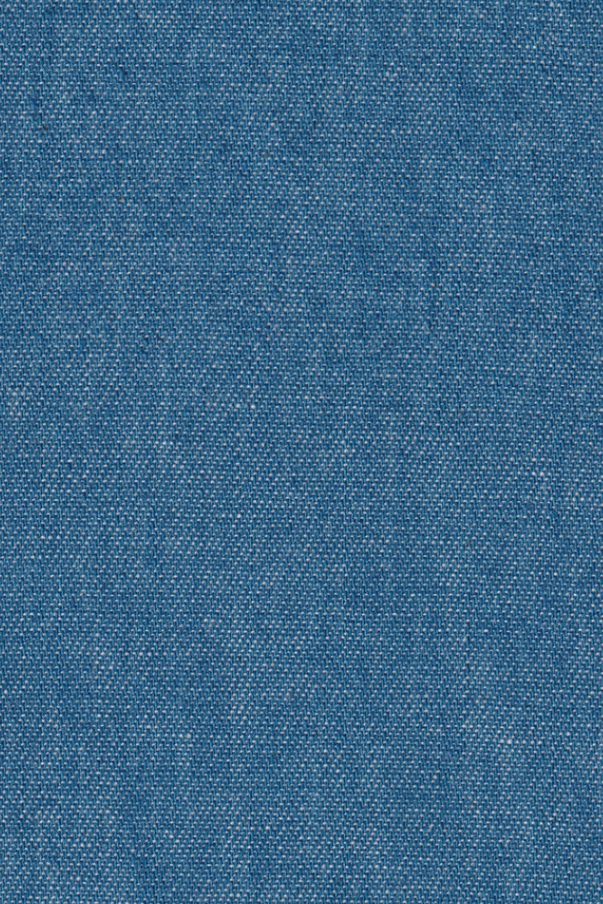 Leichtes Denimhemd Blau (Art. 2272-C)